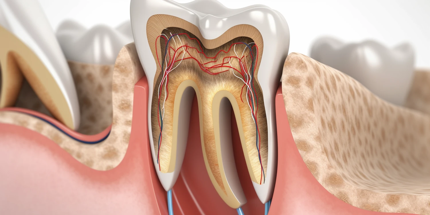 Czy stomatolog to dentysta?